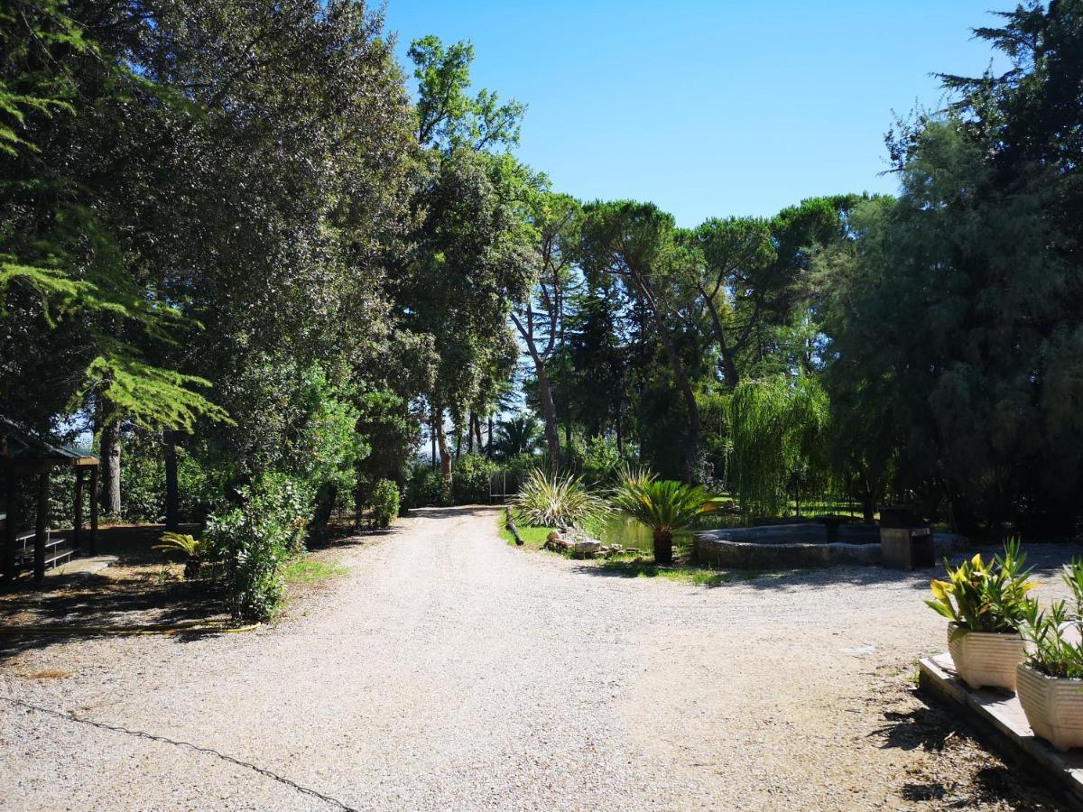 Agriturismo Tenuta La Muratella Ponte Galeria Extérieur photo